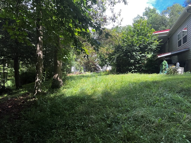 292 Deer Creek Xing, Mountain City, TN 37683 - photo 12