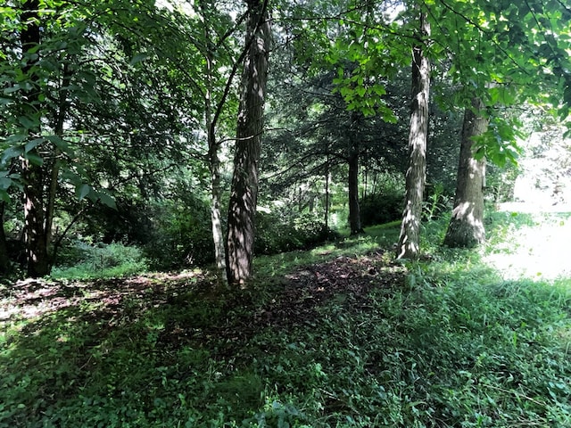 292 Deer Creek Xing, Mountain City, TN 37683 - photo 11