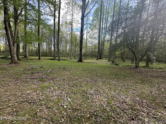 1028 Kennedy Rd, Jamestown, TN 38556 - photo 4