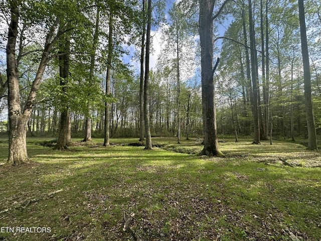 1028 Kennedy Rd, Jamestown, TN 38556 - photo 23