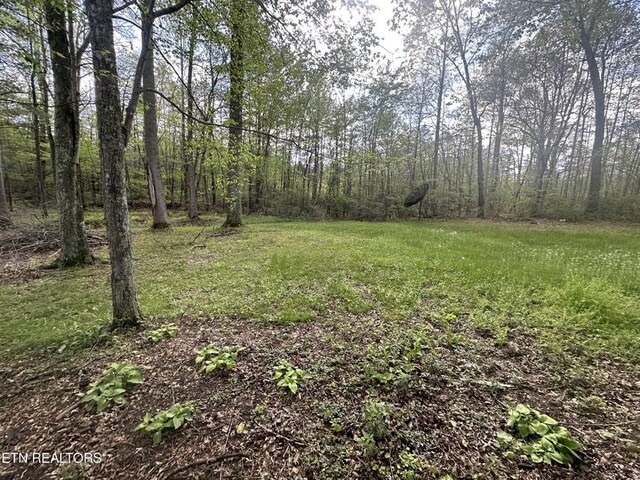 1028 Kennedy Rd, Jamestown, TN 38556 - photo 24