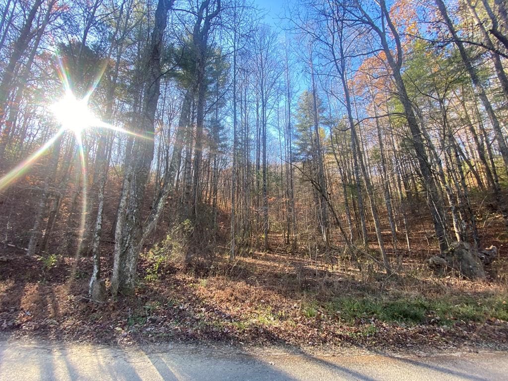 0000 Ray Cross Rd, Harriman, TN 37748 - photo 4