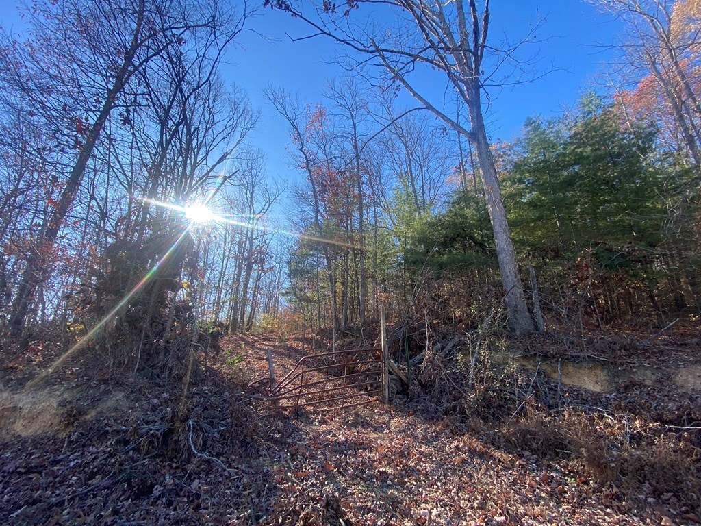 0000 Ray Cross Rd, Harriman, TN 37748 - photo 3