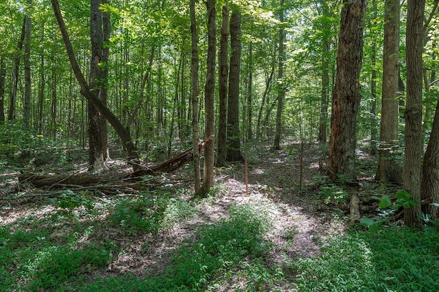 00 Phillips Rd, Cookeville, TN 38501 - photo 16
