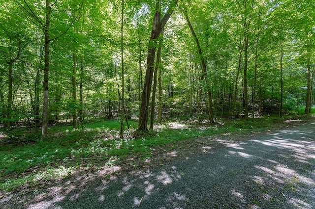 00 Phillips Rd, Cookeville, TN 38501 - photo 18