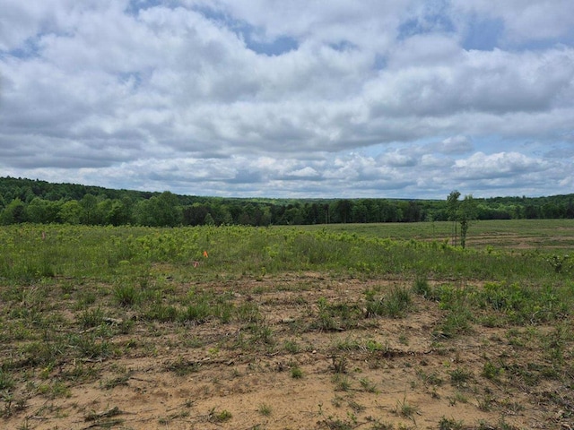 10.14AC Thomas Springs Rd, Crossville, TN 38572 - photo 13
