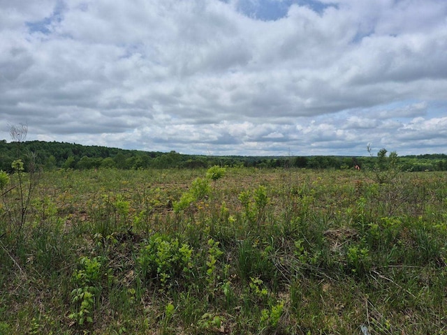 10.14AC Thomas Springs Rd, Crossville, TN 38572 - photo 8