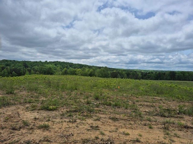 10.14AC Thomas Springs Rd, Crossville, TN 38572 - photo 2