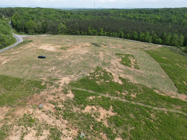 10.14AC Thomas Springs Rd, Crossville, TN 38572 - photo 19
