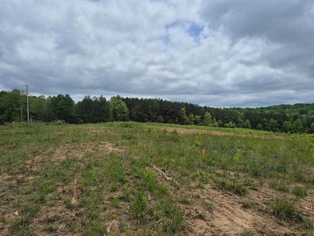 10.14AC Thomas Springs Rd, Crossville, TN 38572 - photo 7