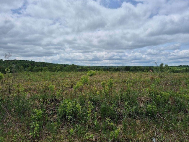 10.14AC Thomas Springs Rd, Crossville, TN 38572 - photo 11