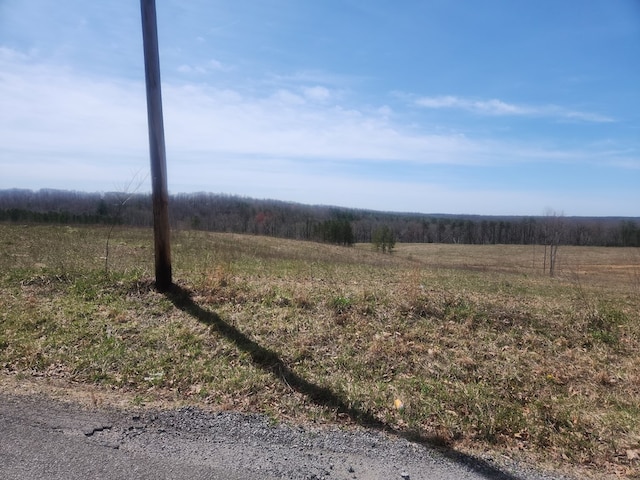 10.14AC Thomas Springs Rd, Crossville, TN 38572 - photo 10