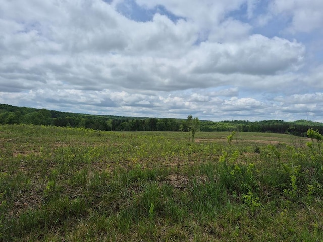 10.14AC Thomas Springs Rd, Crossville, TN 38572 - photo 17