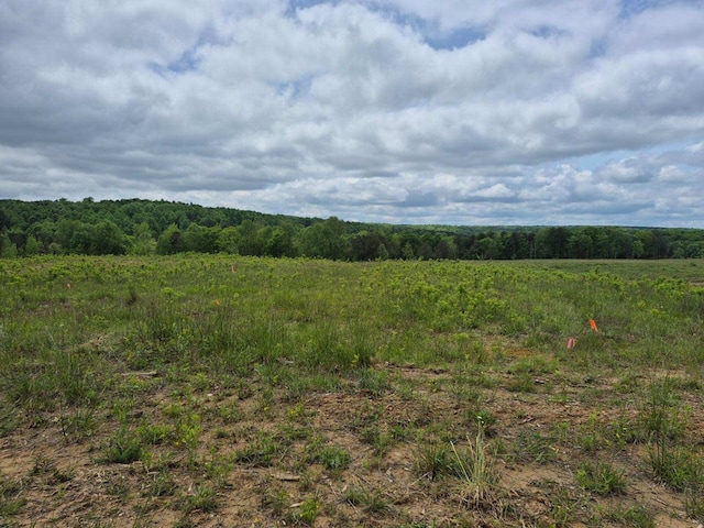 10.14AC Thomas Springs Rd, Crossville, TN 38572 - photo 9