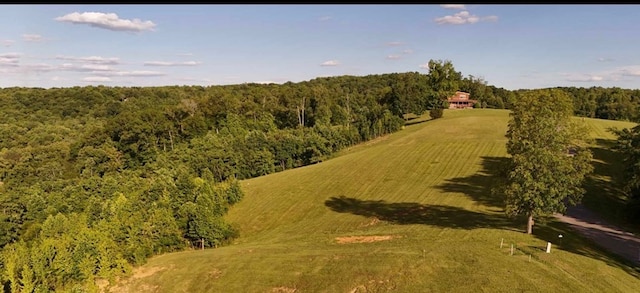 LOT29 Holly Bend Dr, Byrdstown, TN 38549