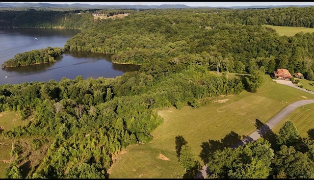 LOT29 Holly Bend Dr, Byrdstown, TN 38549