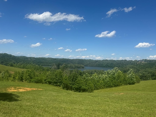 LOT29 Holly Bend Dr, Byrdstown, TN 38549