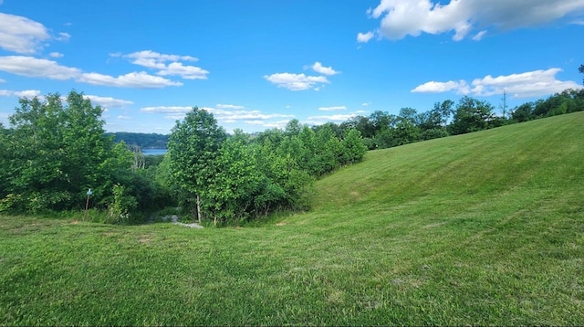 LOT29 Holly Bend Dr, Byrdstown, TN 38549