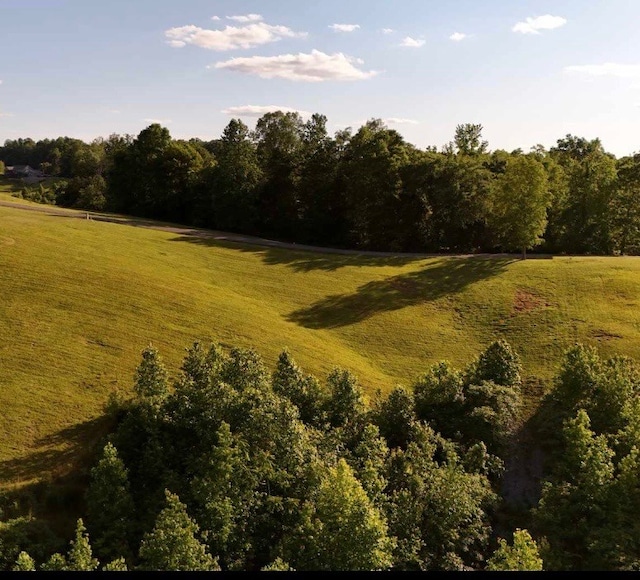 LOT29 Holly Bend Dr, Byrdstown, TN 38549