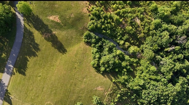 LOT29 Holly Bend Dr, Byrdstown, TN 38549