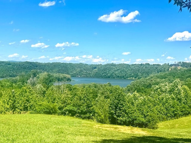 LOT29 Holly Bend Dr, Byrdstown, TN 38549