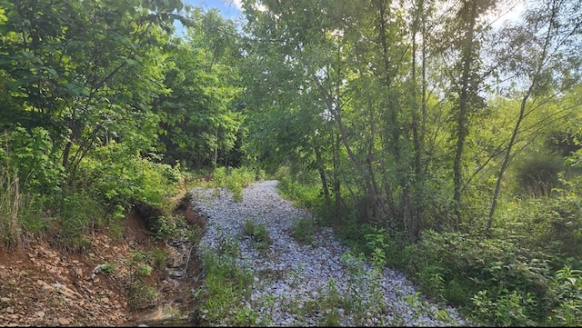 LOT29 Holly Bend Dr, Byrdstown, TN 38549
