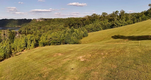 LOT29 Holly Bend Dr, Byrdstown, TN 38549