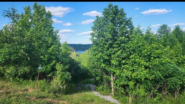 LOT29 Holly Bend Dr, Byrdstown, TN 38549