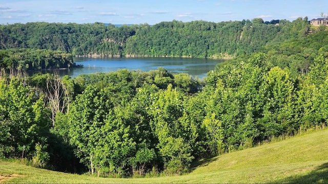 LOT29 Holly Bend Dr, Byrdstown, TN 38549