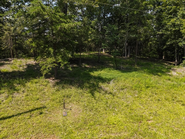 - Admiral Point Drive, Rock Island, TN 38581 - photo 13