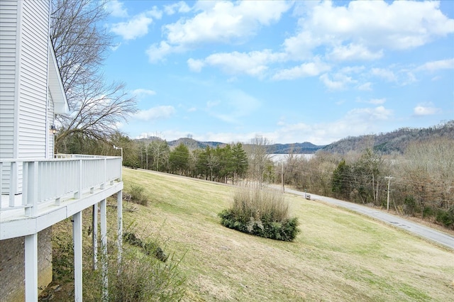 378 Holleman Bend Ln, Granville, TN 38564 - photo 55