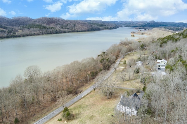 378 Holleman Bend Ln, Granville, TN 38564 - photo 37