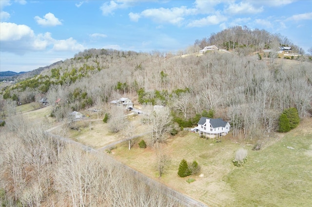 378 Holleman Bend Ln, Granville, TN 38564 - photo 45