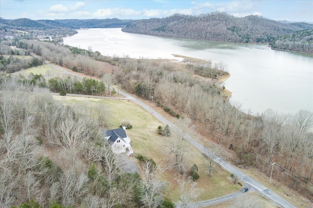 378 Holleman Bend Ln, Granville, TN 38564 - photo 44