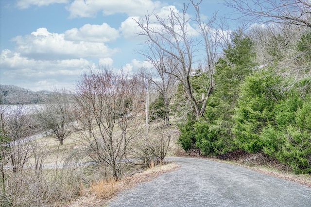 378 Holleman Bend Ln, Granville, TN 38564 - photo 49