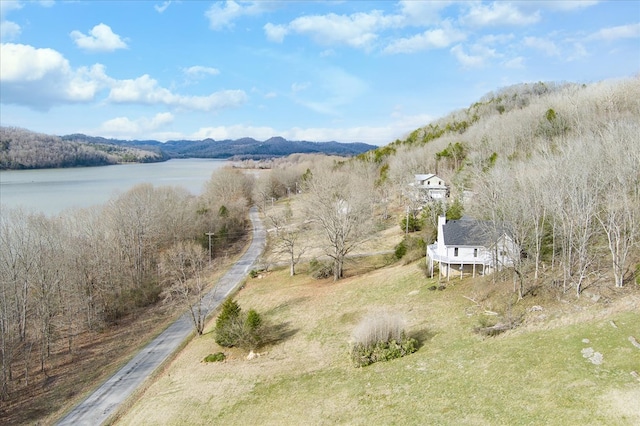378 Holleman Bend Ln, Granville, TN 38564 - photo 46
