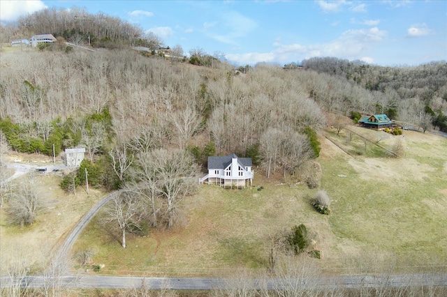 378 Holleman Bend Ln, Granville, TN 38564 - photo 39