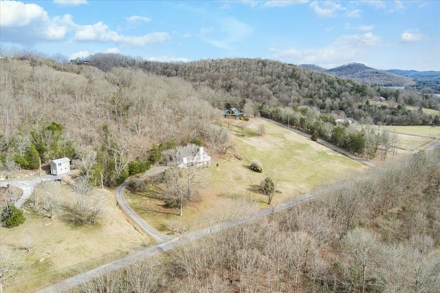 378 Holleman Bend Ln, Granville, TN 38564 - photo 1