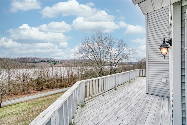 378 Holleman Bend Ln, Granville, TN 38564 - photo 61
