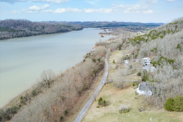 378 Holleman Bend Ln, Granville, TN 38564 - photo 38
