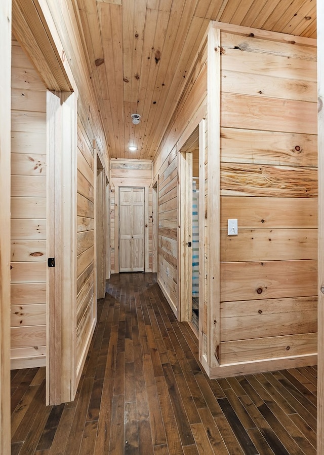 106 Raccoon Ln, Jamestown, TN 38556 - hall featuring dark wood-style flooring, wooden walls, and wood ceiling