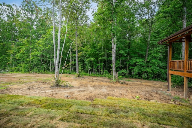 106 Raccoon Ln, Jamestown, TN 38556 - view of yard featuring a wooded view