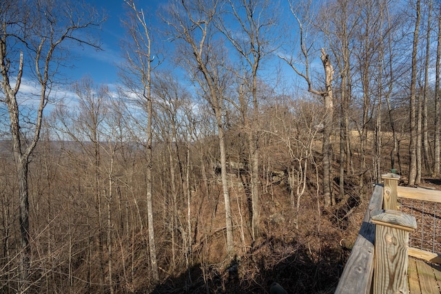750 Woodland Trl, Sparta, TN 38583 - photo 32