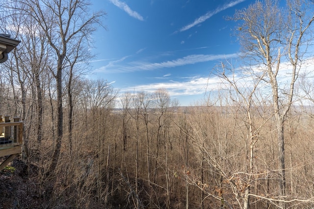 750 Woodland Trl, Sparta, TN 38583 - photo 30