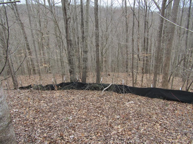 LOT60 W Bobcat Ln, Wilder, TN 38589