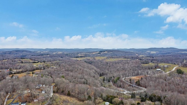 birds eye view of property featuring a mountain view