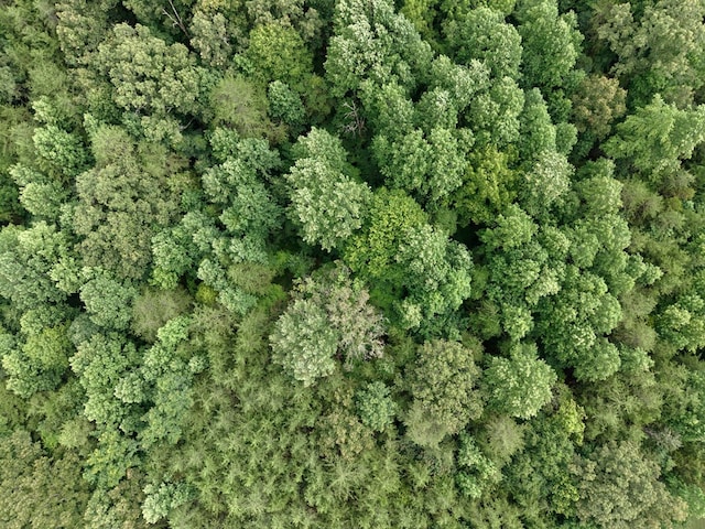 5AC W Of Barlow Rd, Spencer, TN 38581