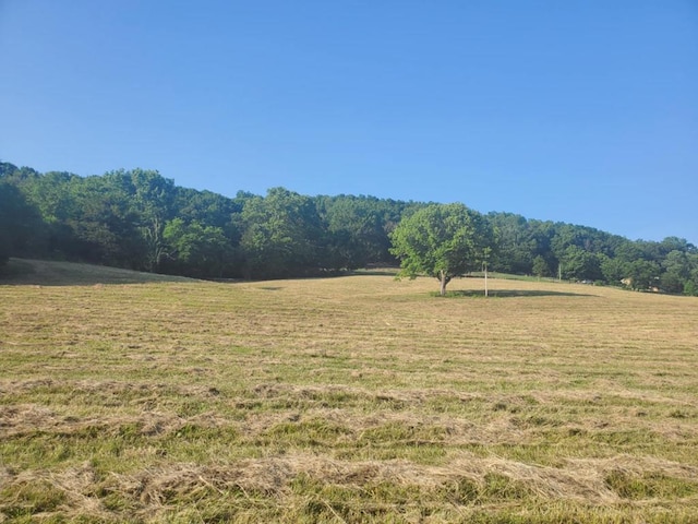 0 Wilkerson Hollow Ln, Brush Creek, TN 38547 - photo 1