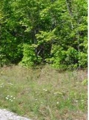 Listing photo 2 for LOT91 Parkstown Rd, Wilder TN 38589