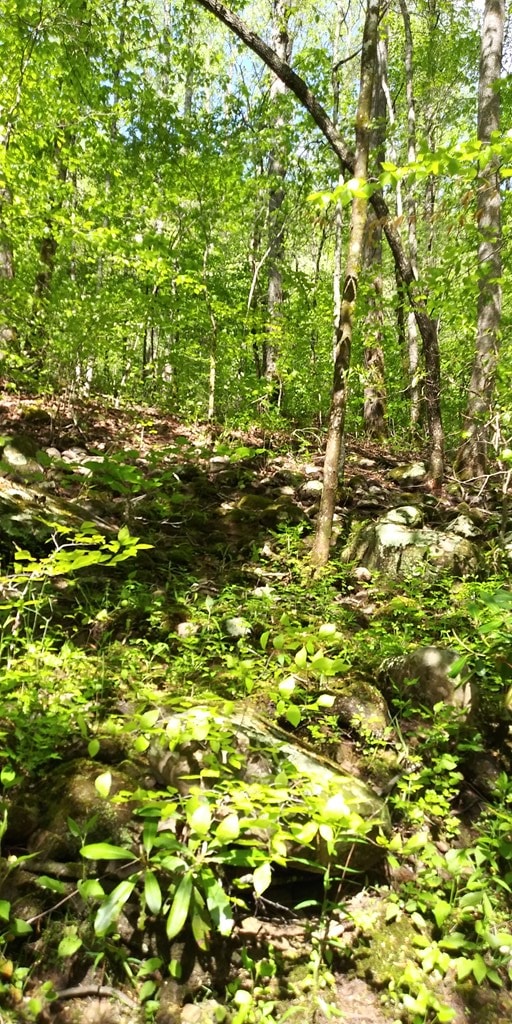 Listing photo 3 for LOT91 Parkstown Rd, Wilder TN 38589